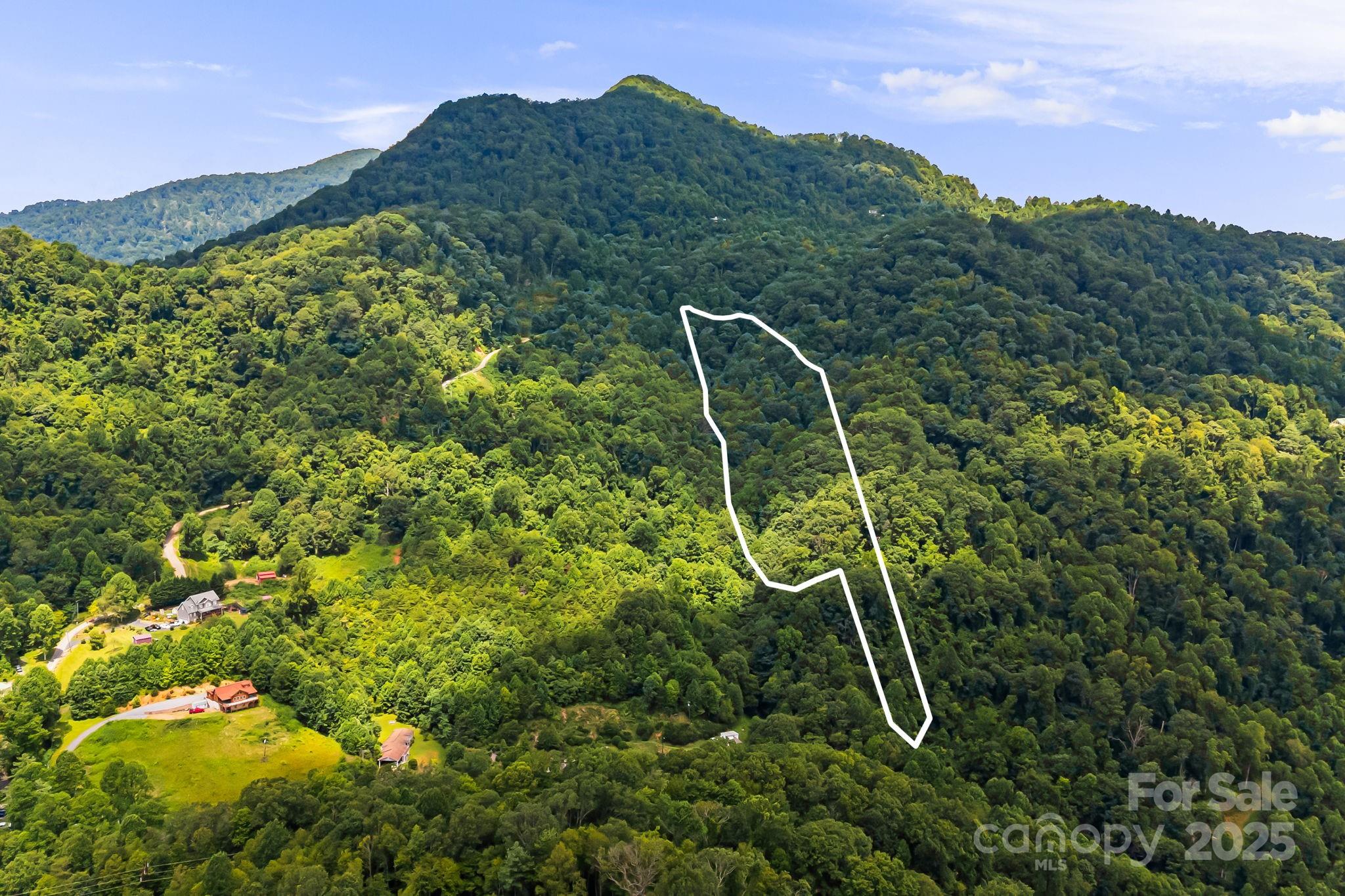 28 Back Stage Pass Leicester, NC 28748 - Photo 46 of 48 a bird view of a houses with a lush green hillside