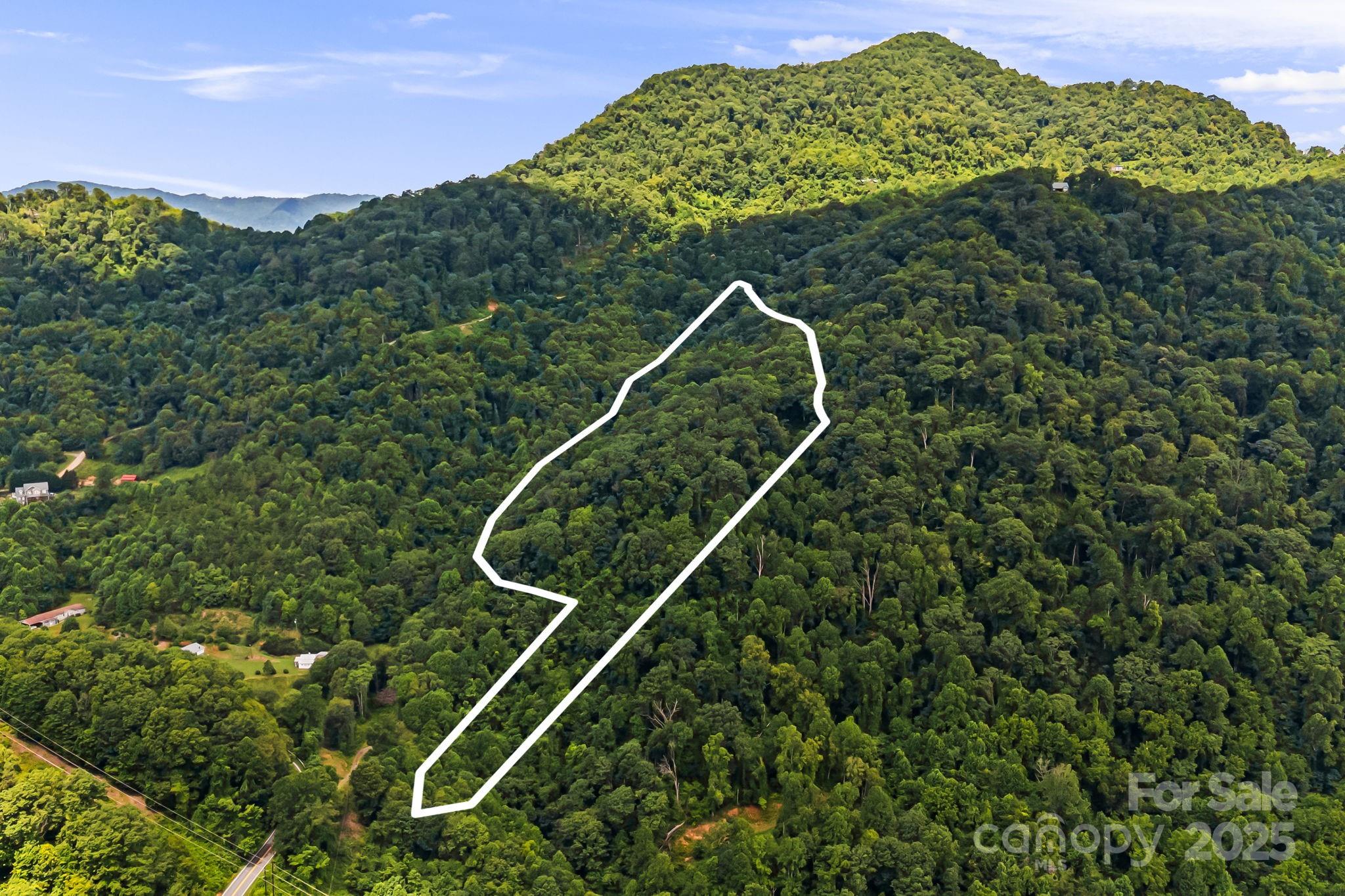 28 Back Stage Pass Leicester, NC 28748 - Photo 47 of 48 a backyard of a house