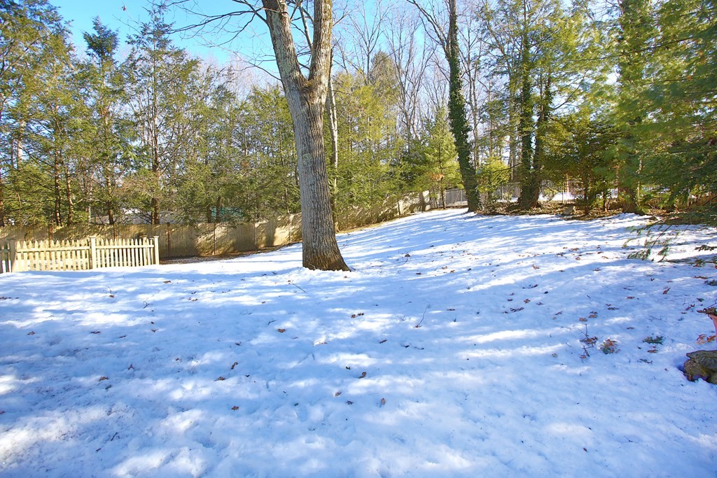 22 Stanford Road Wellesley, MA 02481 - Photo 25 of 26