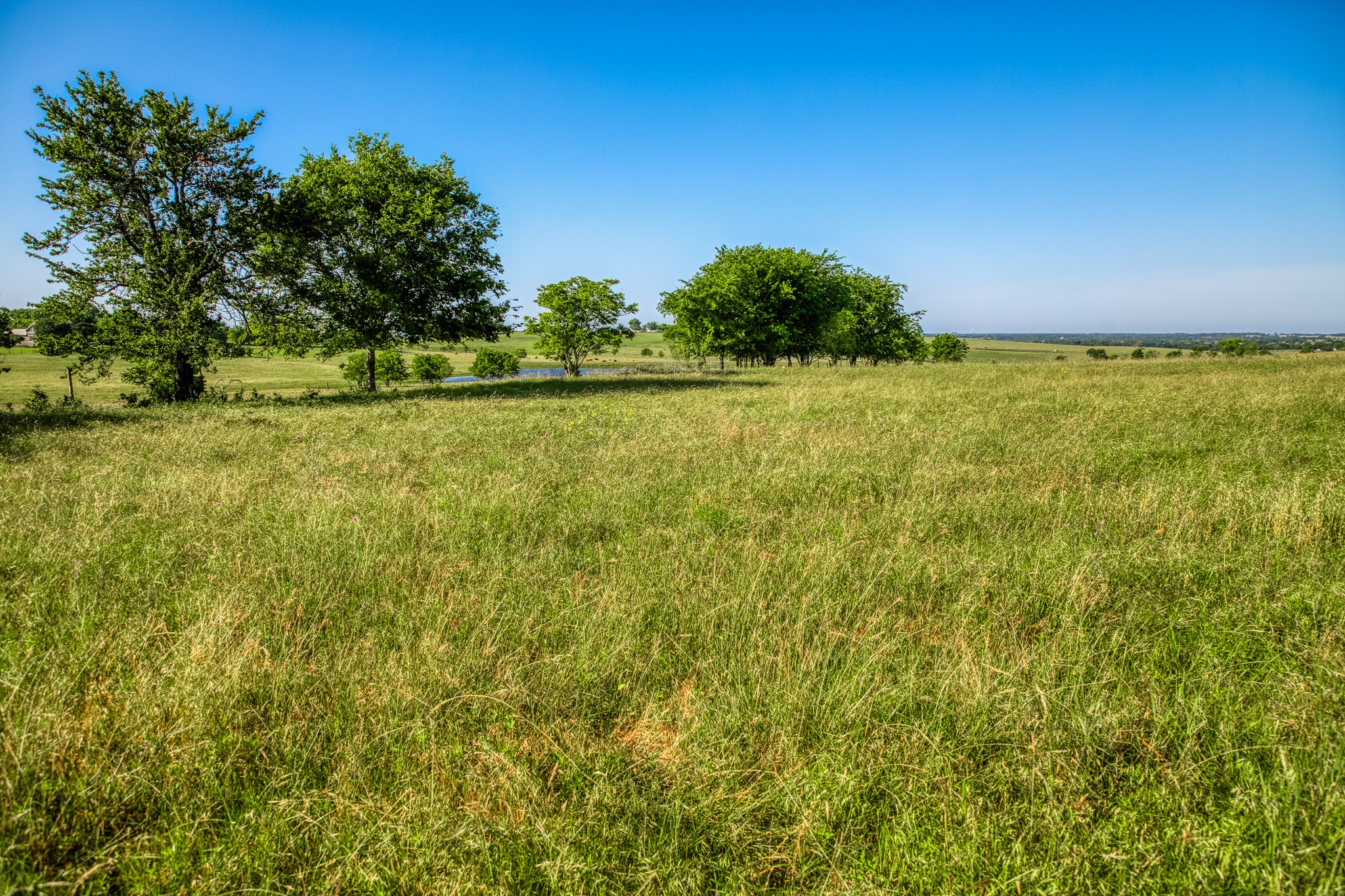 5005 Fuchs Road Burton, TX 77835 - Photo 5 of 7 a view of a yard with a tree