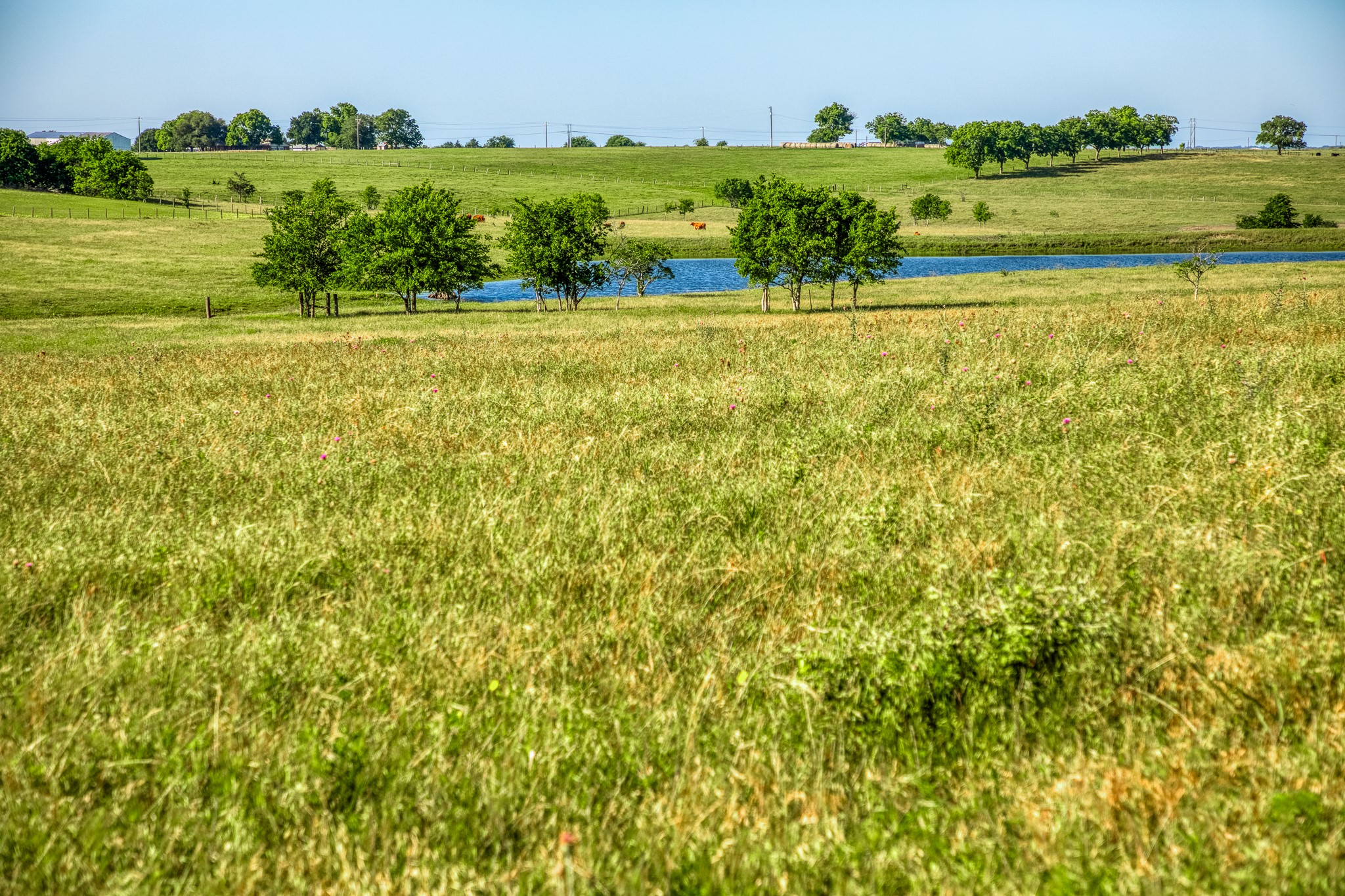 5005 Fuchs Road Burton, TX 77835 - Photo 6 of 7 a view of an outdoor space and a lake view