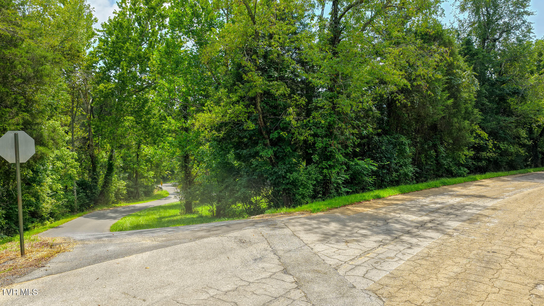 0 Burlington Road, Unit 6 Church Hill, TN 37642 - Photo 5 of 22 Burlington. CH 2 37ac (4 of 22)