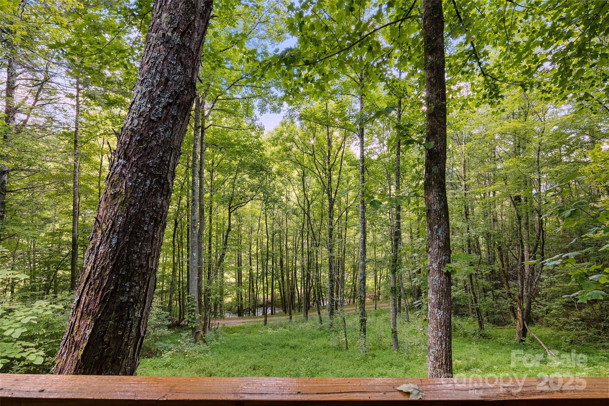 12215 Big Laurel Road Marshall, NC 28753 - Photo 27 of 44 a view of a yard