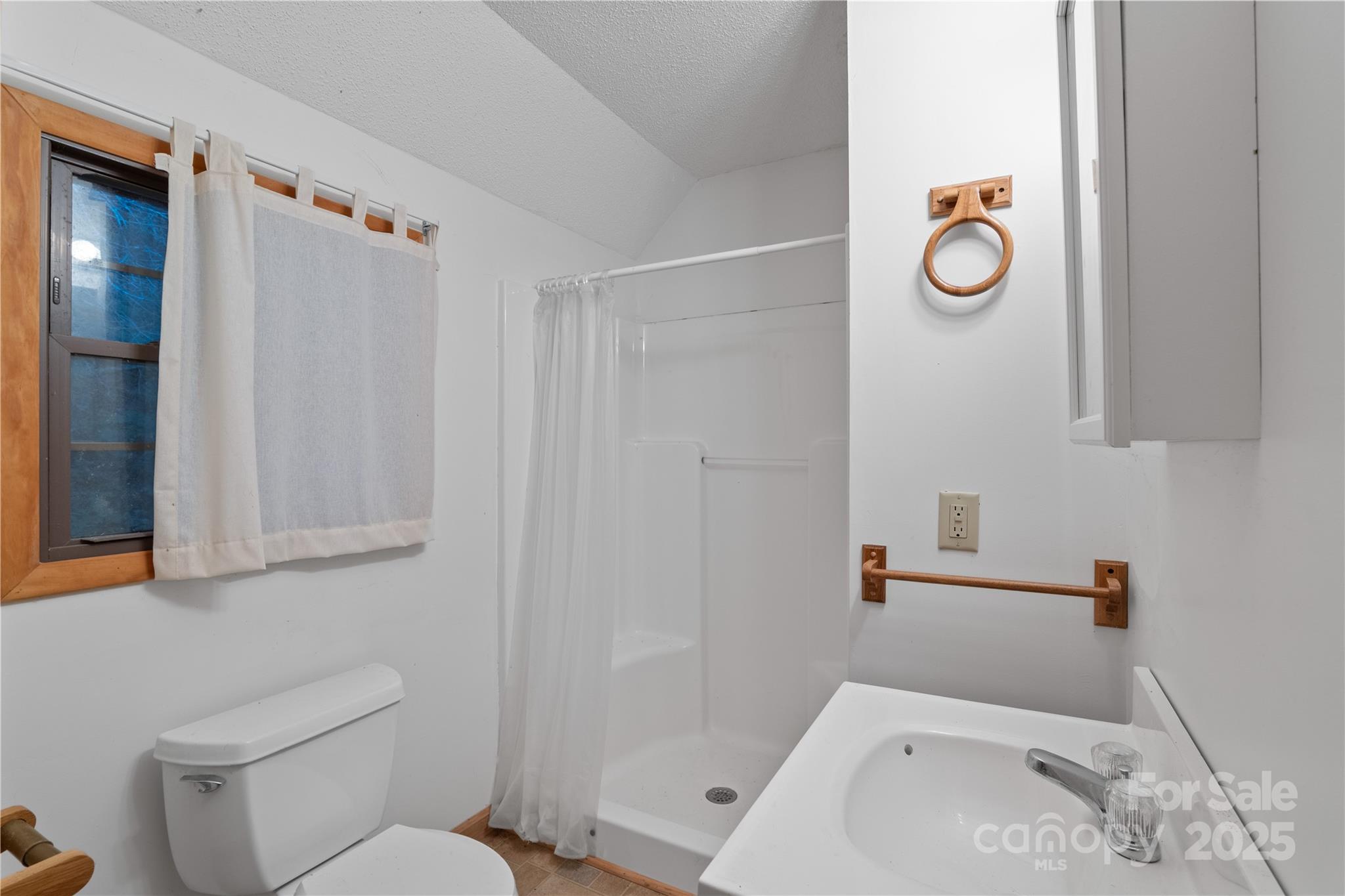 12215 Big Laurel Road Marshall, NC 28753 - Photo 37 of 44 a bathroom with a sink a toilet and shower