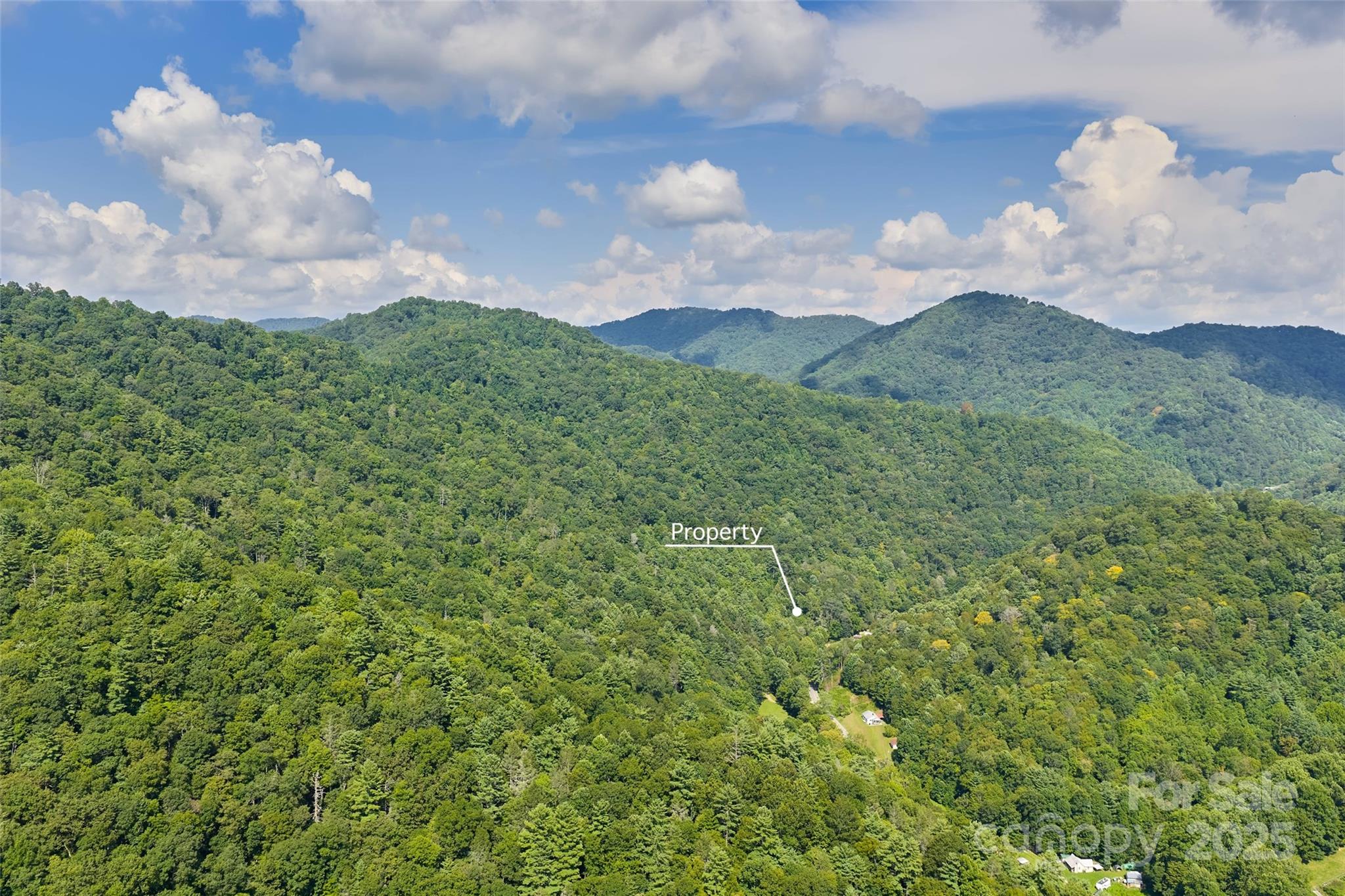 12215 Big Laurel Road Marshall, NC 28753 - Photo 39 of 44