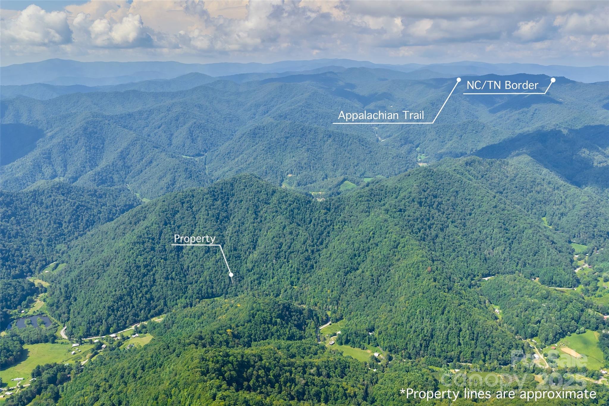 12215 Big Laurel Road Marshall, NC 28753 - Photo 40 of 44 a view of a pathway both side of grassy field with shrub