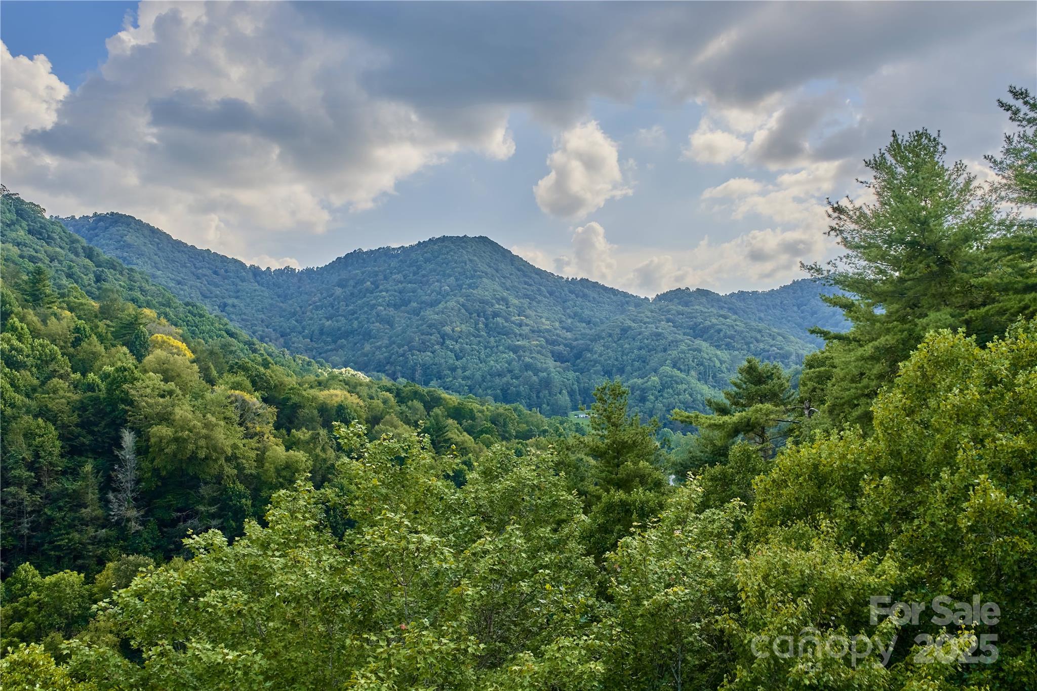 12215 Big Laurel Road Marshall, NC 28753 - Photo 41 of 44 a view of a mountain in the distance in a field