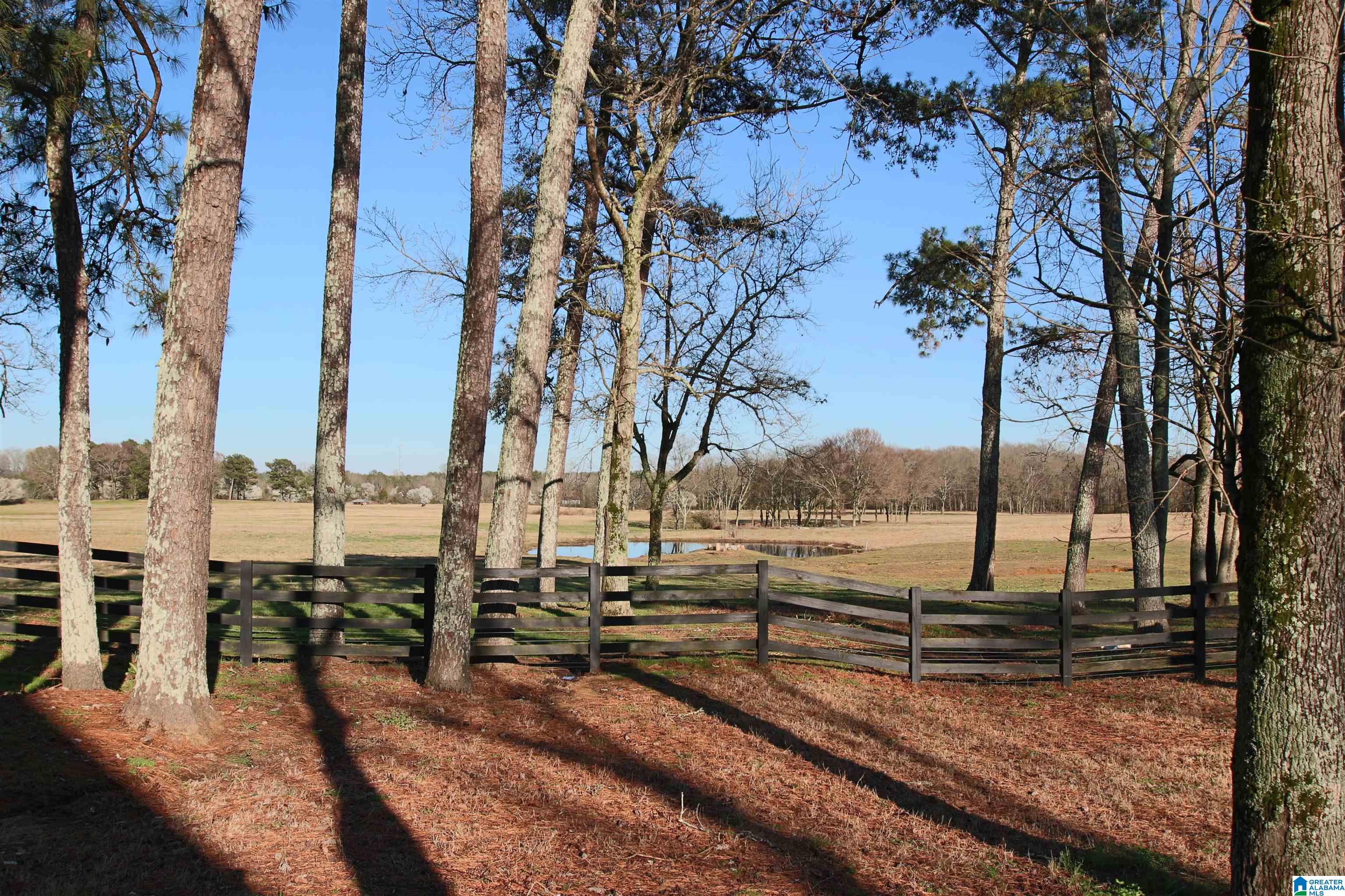 1396 Sun Valley Road Harpersville, AL 35078 - Photo 60 of 82