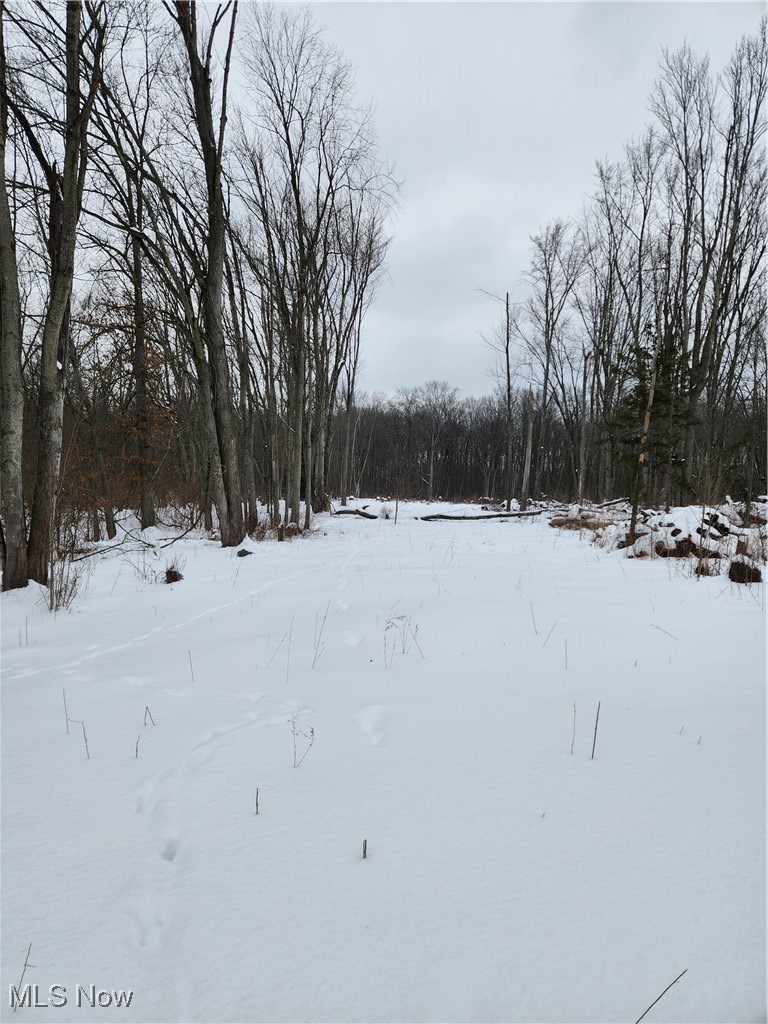 Royalton Road Columbia Station, OH 44028 - Photo 1 of 13 Snowy yard with a view of trees