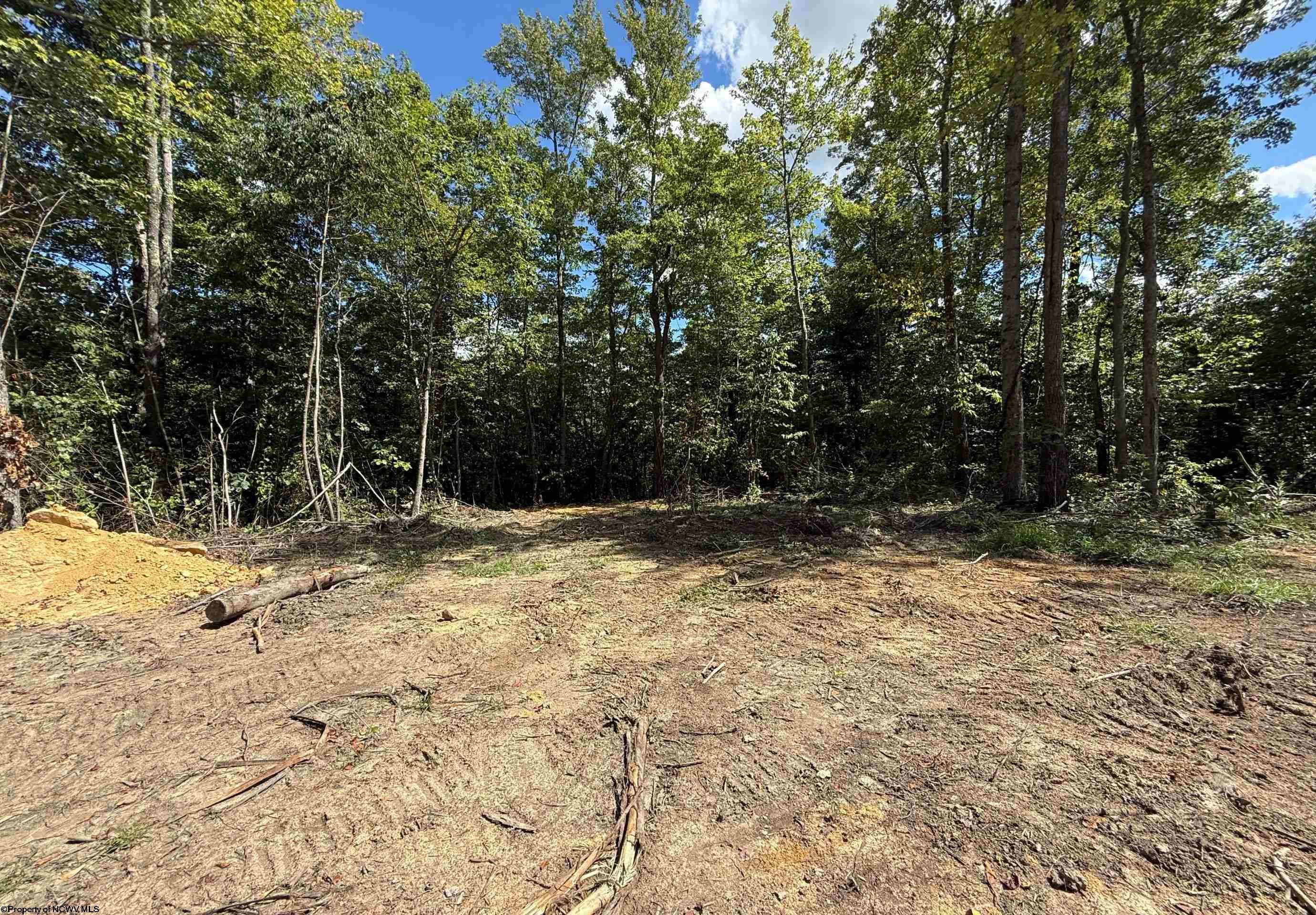 Lot 3 Brooklyn Heights Road Parsons, WV 26287 - Photo 4 of 11 Gallery Image 4