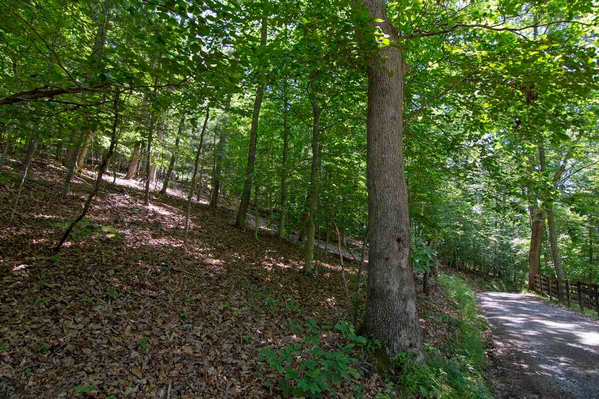 751-771 Lipps Road Lewisburg, WV 24901 - Photo 32 of 43 Gallery Image 32