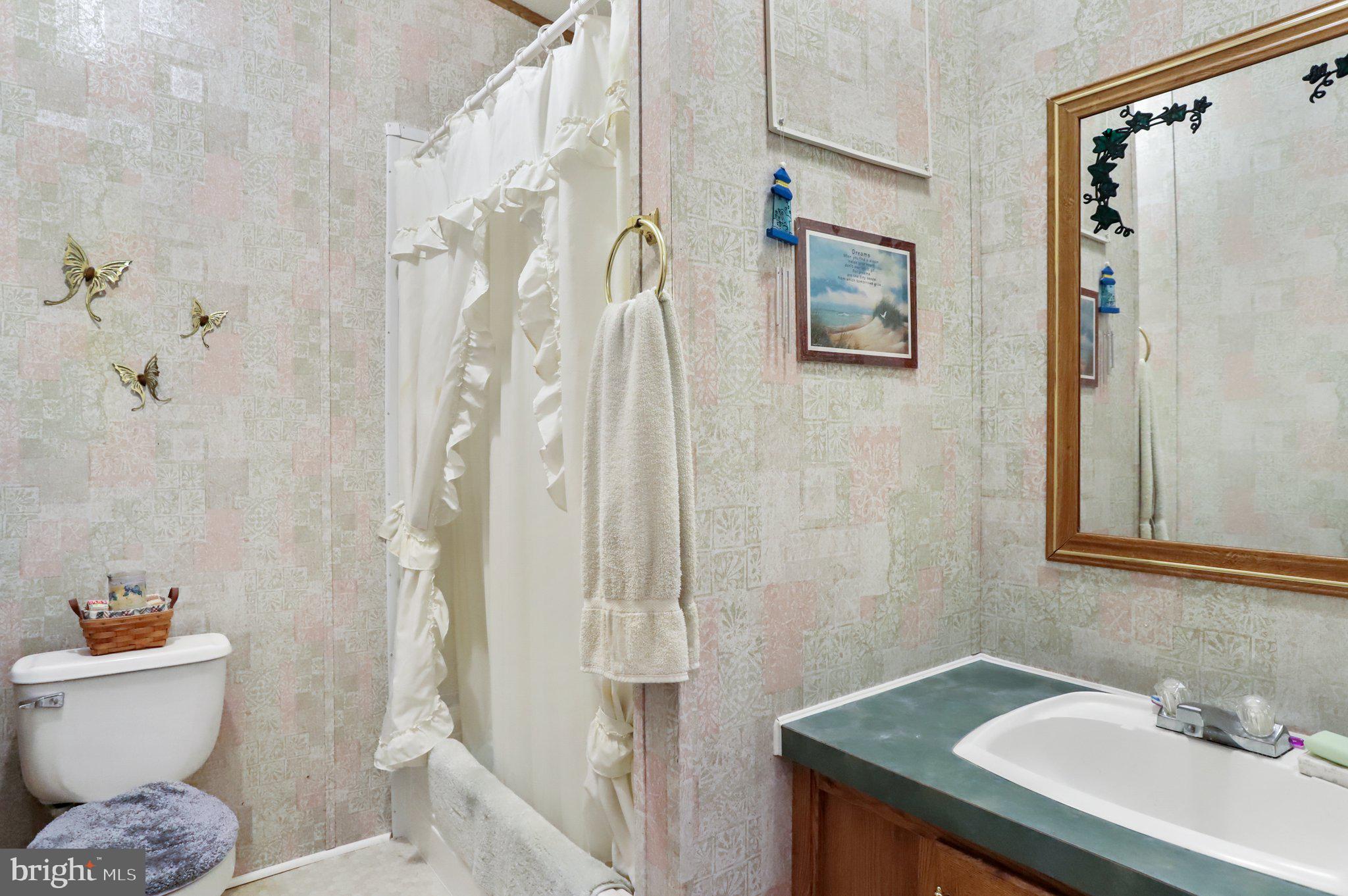 16911 Alcott Road Hagerstown, MD 21740 - Photo 23 of 25 Hall bath