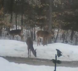 211 Campground Road North Anson, ME 04958 - Photo 19 of 24 Photo