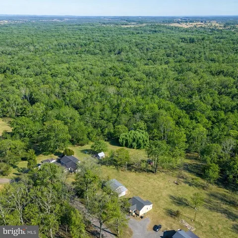 a view of a lush green forest