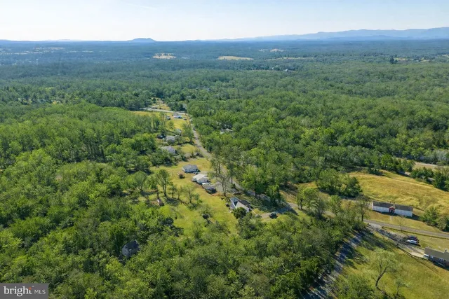 a view of a lush green forest with lush green forest