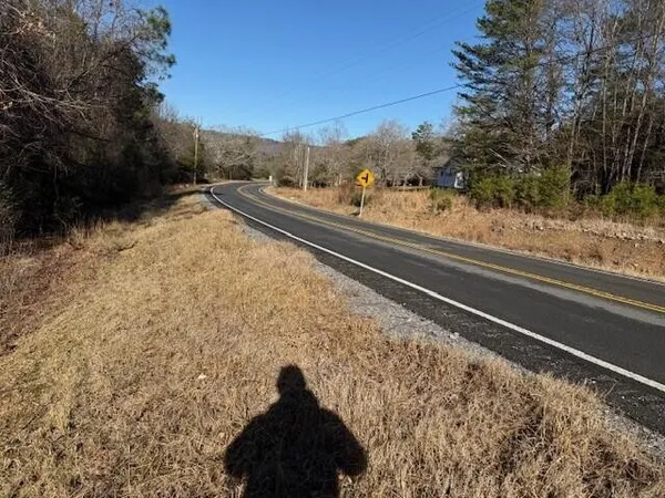 a view of a yard with pathway