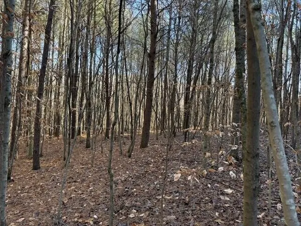 a view of a backyard of the house
