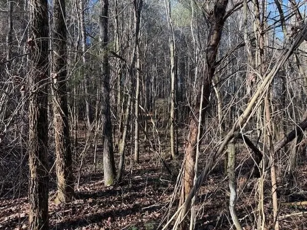 a view of outdoor space