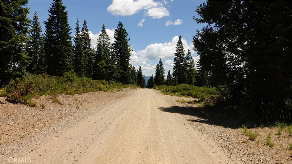 0 Echo McCloud, CA 96057 - Photo 12 of 26 a view of a yard with snow on the side of the road