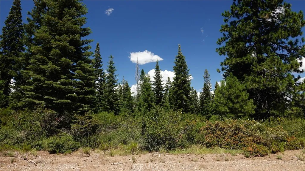 0 Echo McCloud, CA 96057 - Photo 15 of 26 a view of a yard