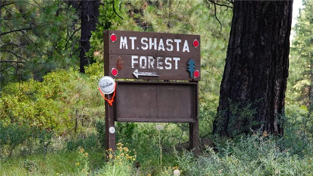 0 Echo McCloud, CA 96057 - Photo 19 of 26 a sign on the side of the road