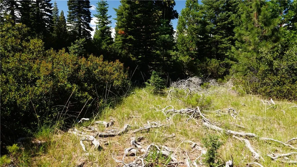 0 Echo McCloud, CA 96057 - Photo 2 of 26 a view of a yard