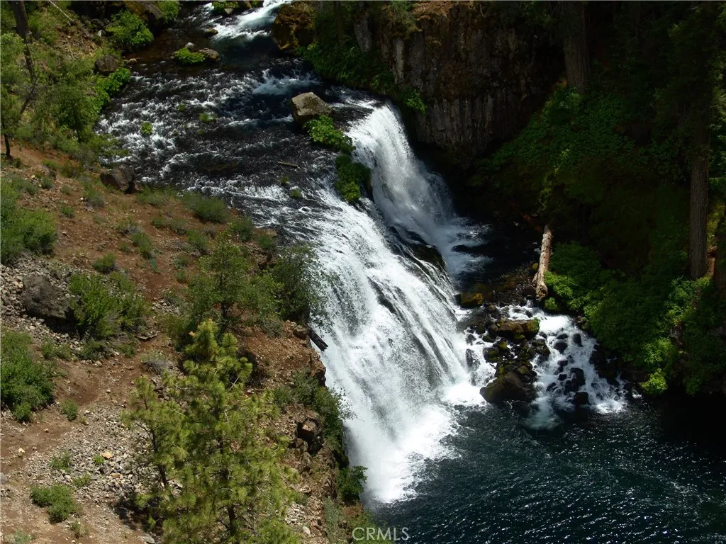 0 Echo McCloud, CA 96057 - Photo 21 of 26 a picture of trees