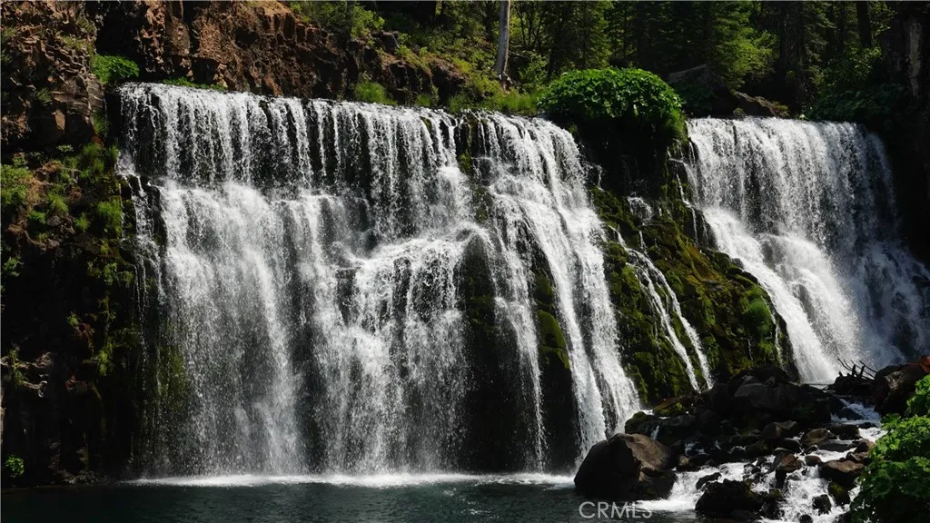 0 Echo McCloud, CA 96057 - Photo 3 of 26 a view of outdoor space with garden