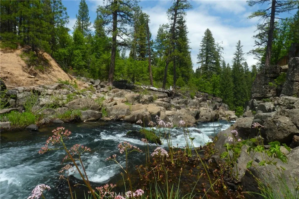 0 Echo McCloud, CA 96057 - Photo 5 of 26 a view of a forest with trees