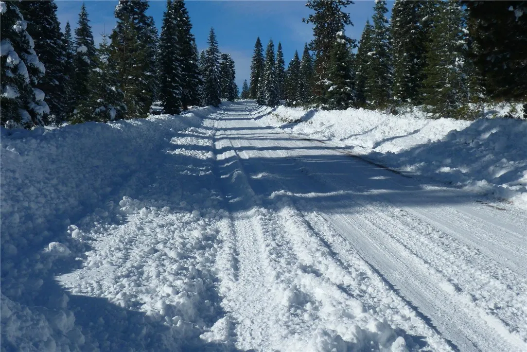 0 Echo McCloud, CA 96057 - Photo 6 of 26 a view of a yard with a snow on the road