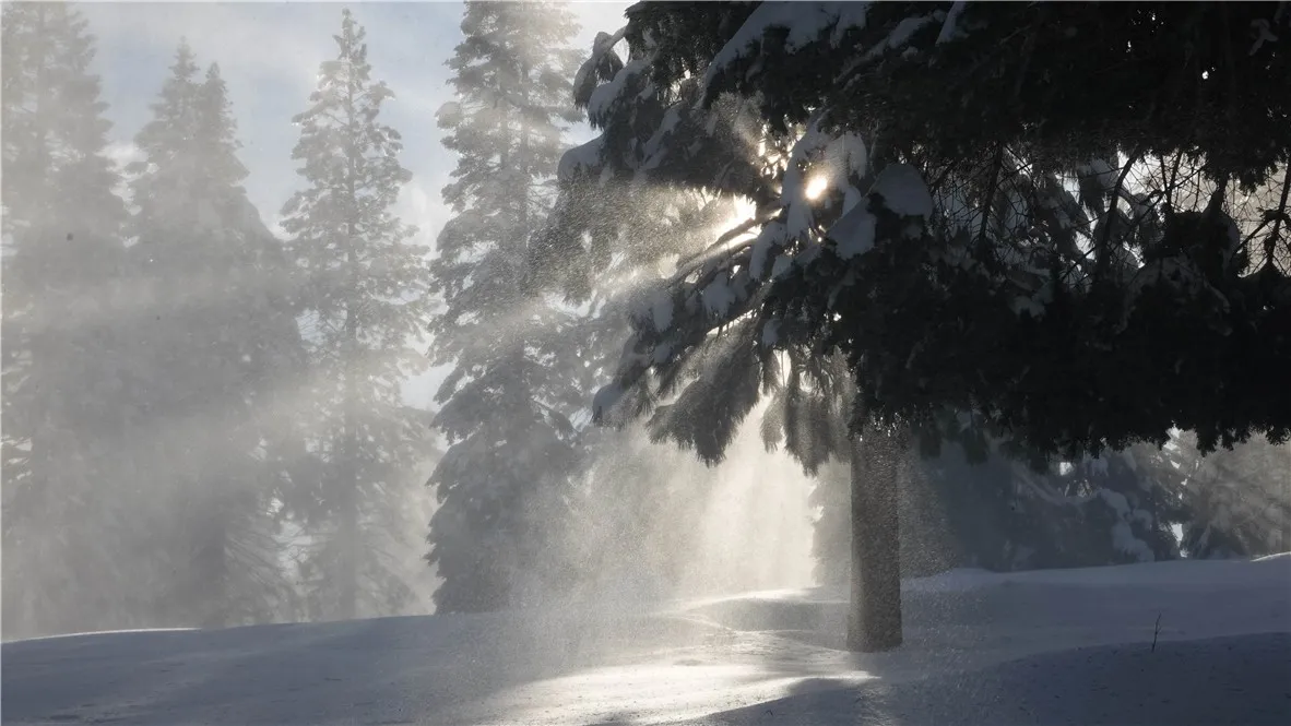 0 Echo McCloud, CA 96057 - Photo 7 of 26 a view of a yard