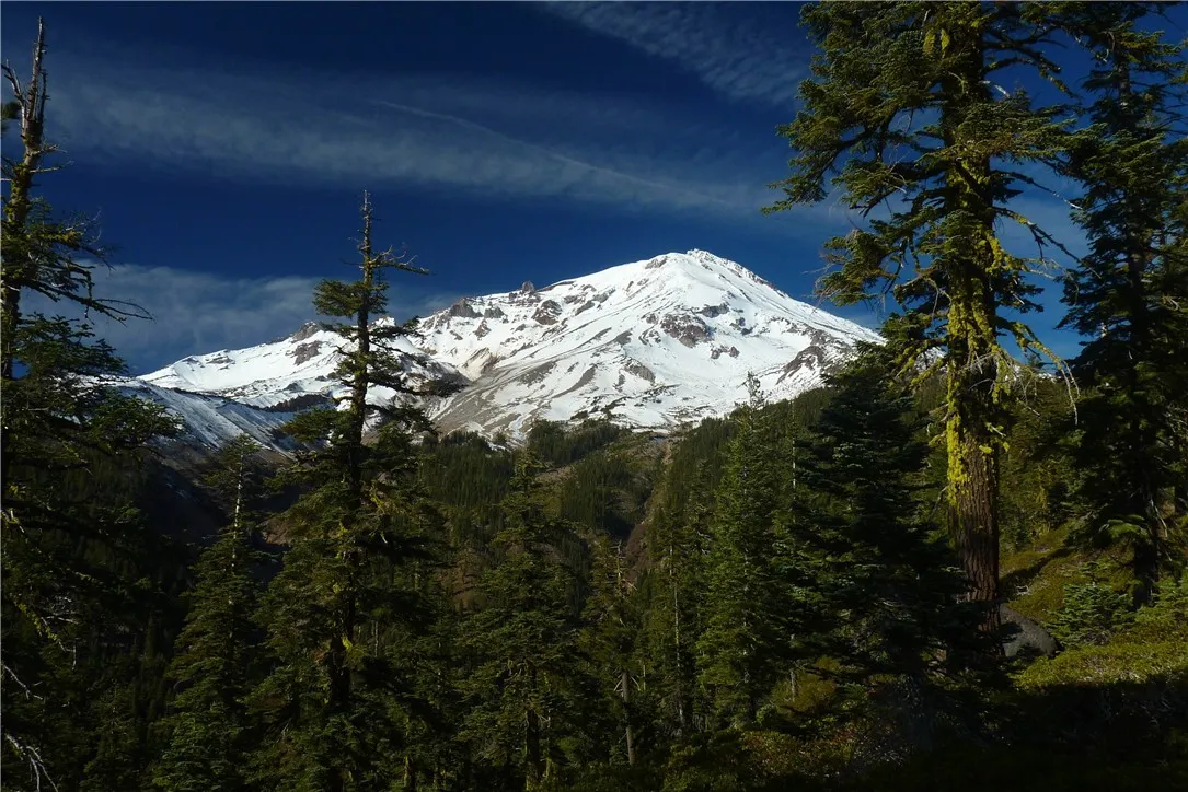 0 Echo McCloud, CA 96057 - Photo 10 of 26 a outdoor space with lots of bushes