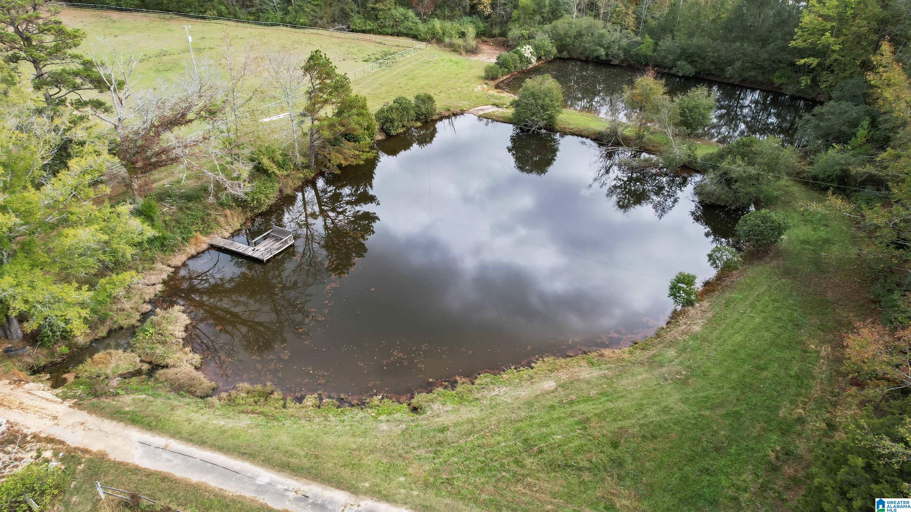 9406 County Road 51 Jemison, AL 35085 - Photo 11 of 58