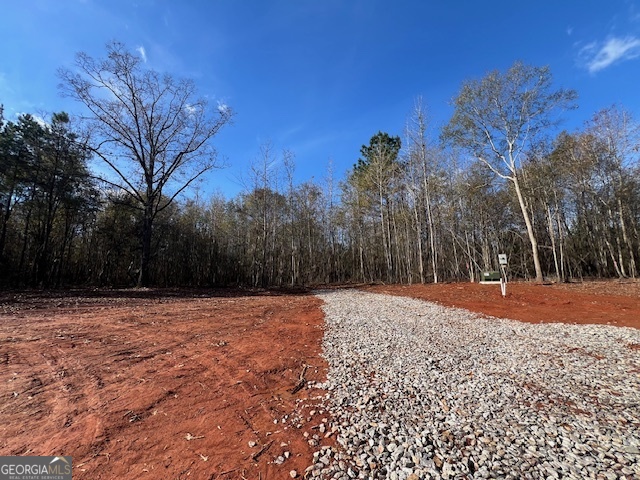 146 Berry Road, Unit LOT 12B Barnesville, GA 30204 - Photo 5 of 11