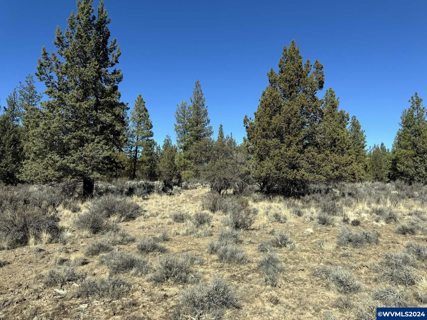 600 Oregon Pines Road Chiloquin, OR 97624 - Photo 30 of 49