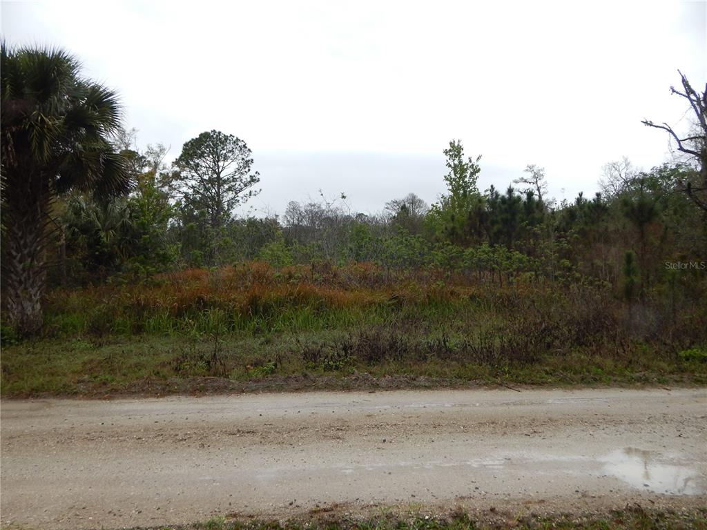 0 Robin Trail Kissimmee, FL 34747 - Photo 1 of 3 a view of a yard with a tree