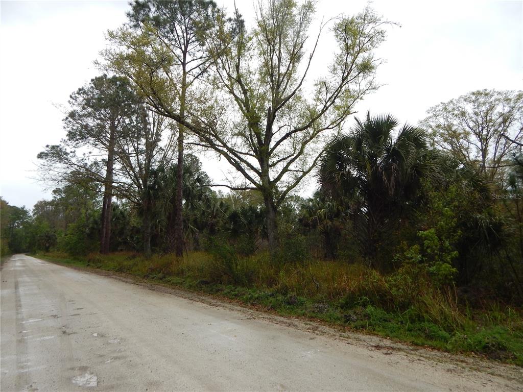 0 Robin Trail Kissimmee, FL 34747 - Photo 3 of 3 a view of a yard