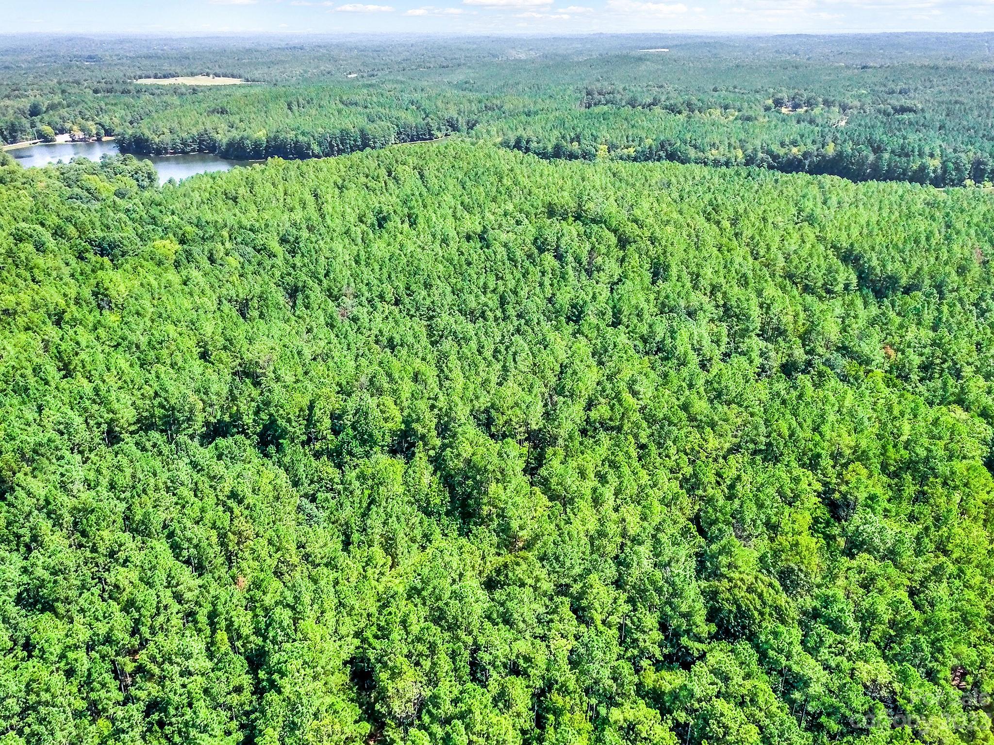 Lot #7 Goings Road Chester, SC 29706 - Photo 1 of 14 a view of a lush green forest with lush green forest