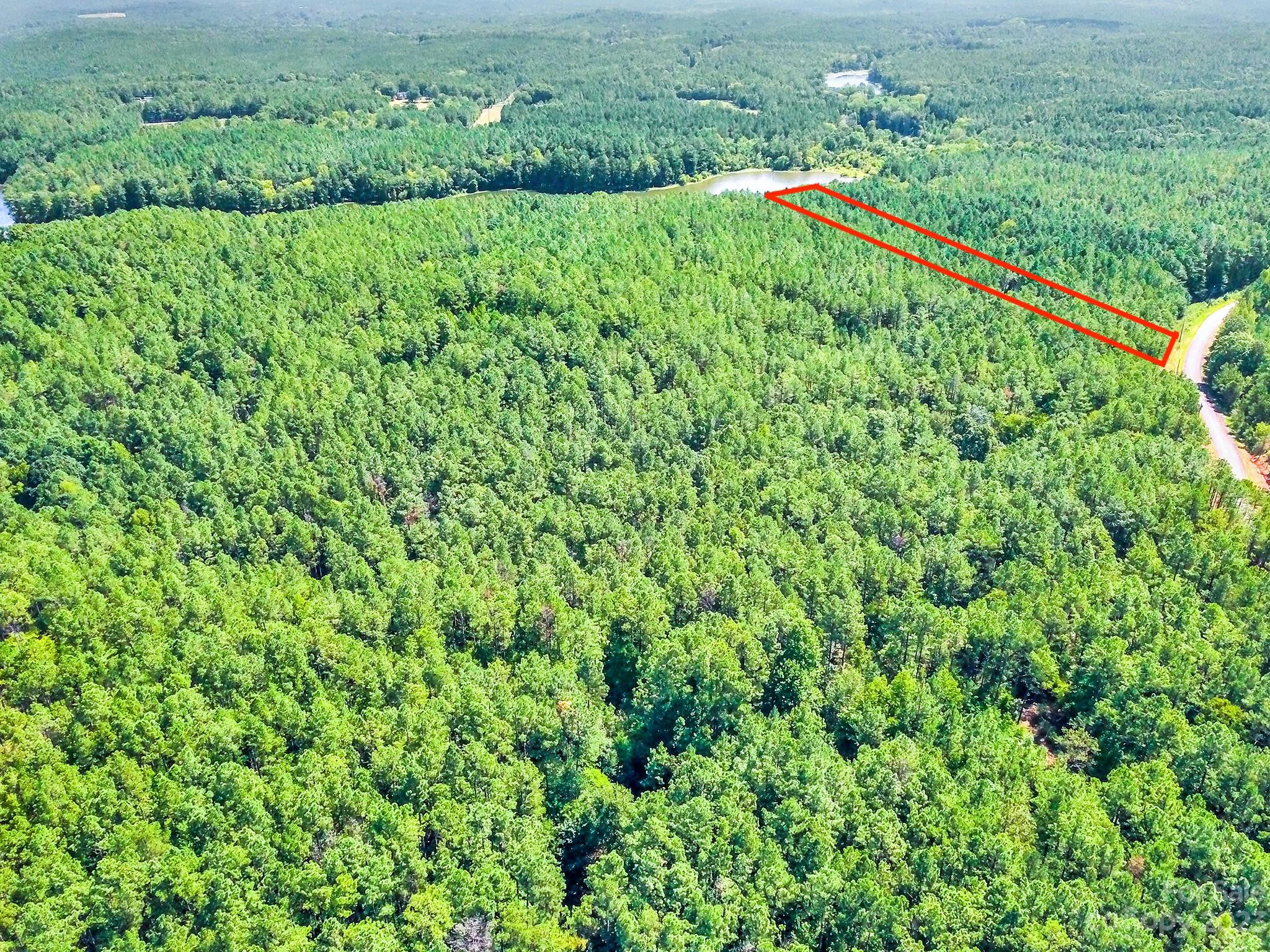 Lot #7 Goings Road Chester, SC 29706 - Photo 2 of 14 a view of a lush green forest with a lush green forest