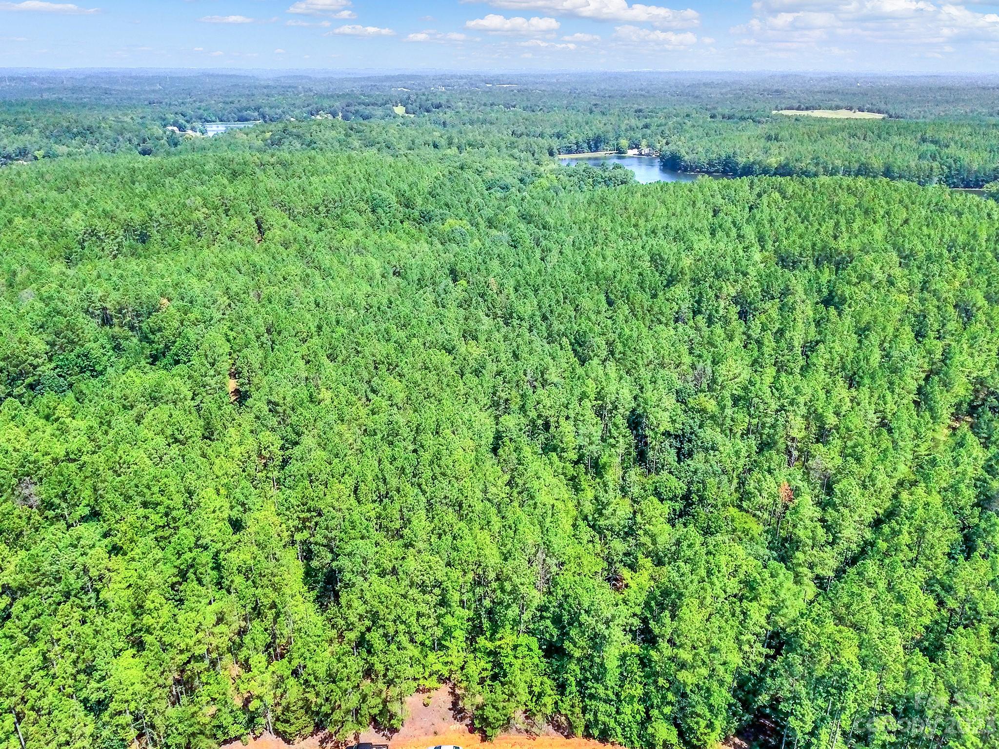 Lot #7 Goings Road Chester, SC 29706 - Photo 3 of 14 a view of a lush green field