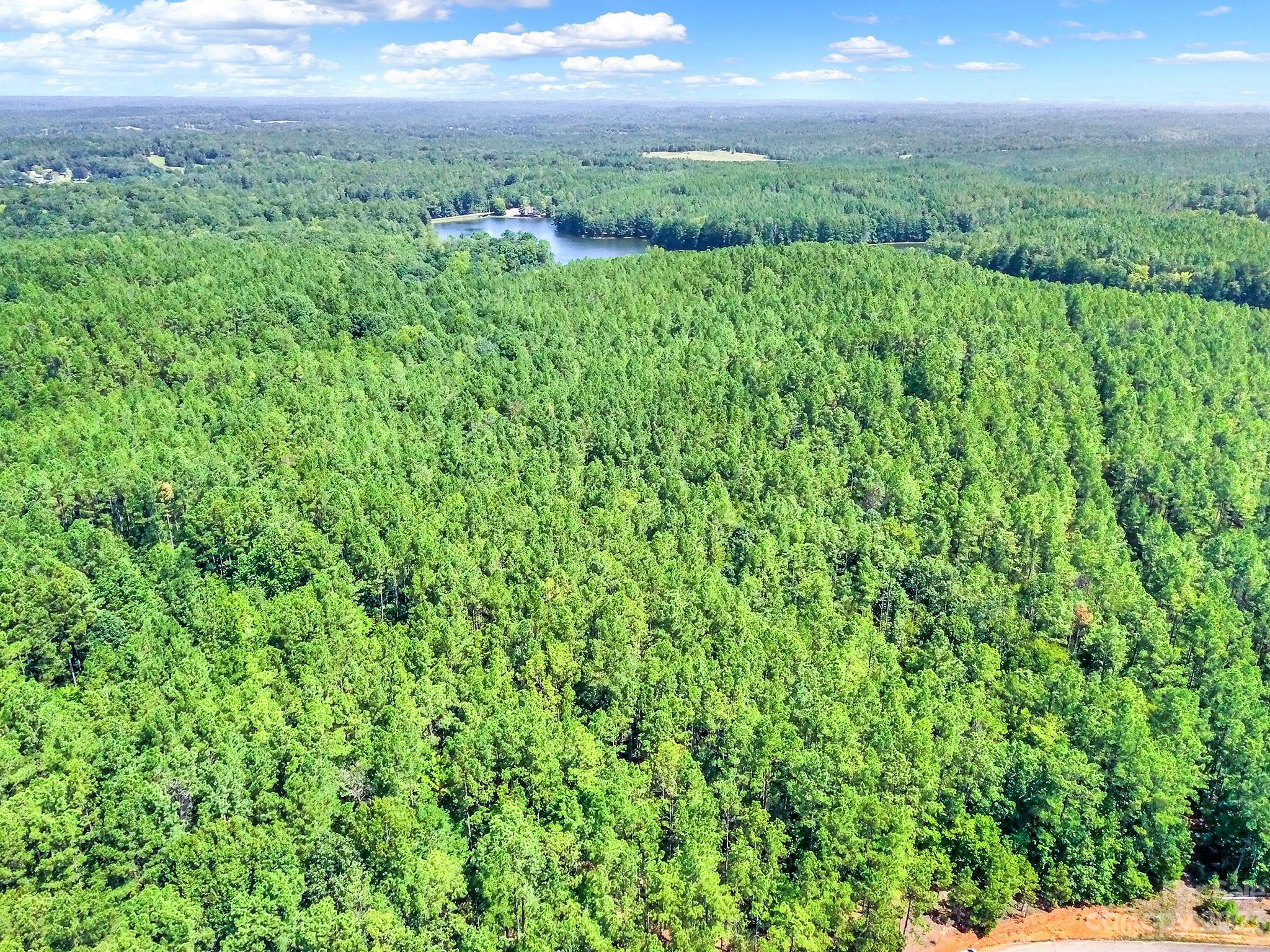 Lot #7 Goings Road Chester, SC 29706 - Photo 4 of 14 a view of a lush green space with sea