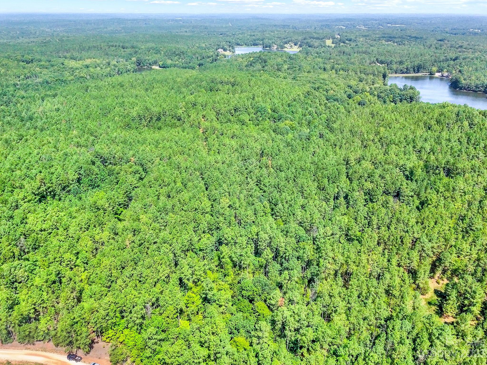Lot #7 Goings Road Chester, SC 29706 - Photo 5 of 14 a view of a big yard with plants and large trees