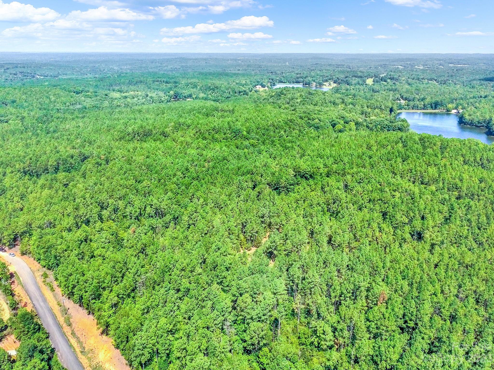 Lot #7 Goings Road Chester, SC 29706 - Photo 6 of 14 a view of a yard with an outdoor space