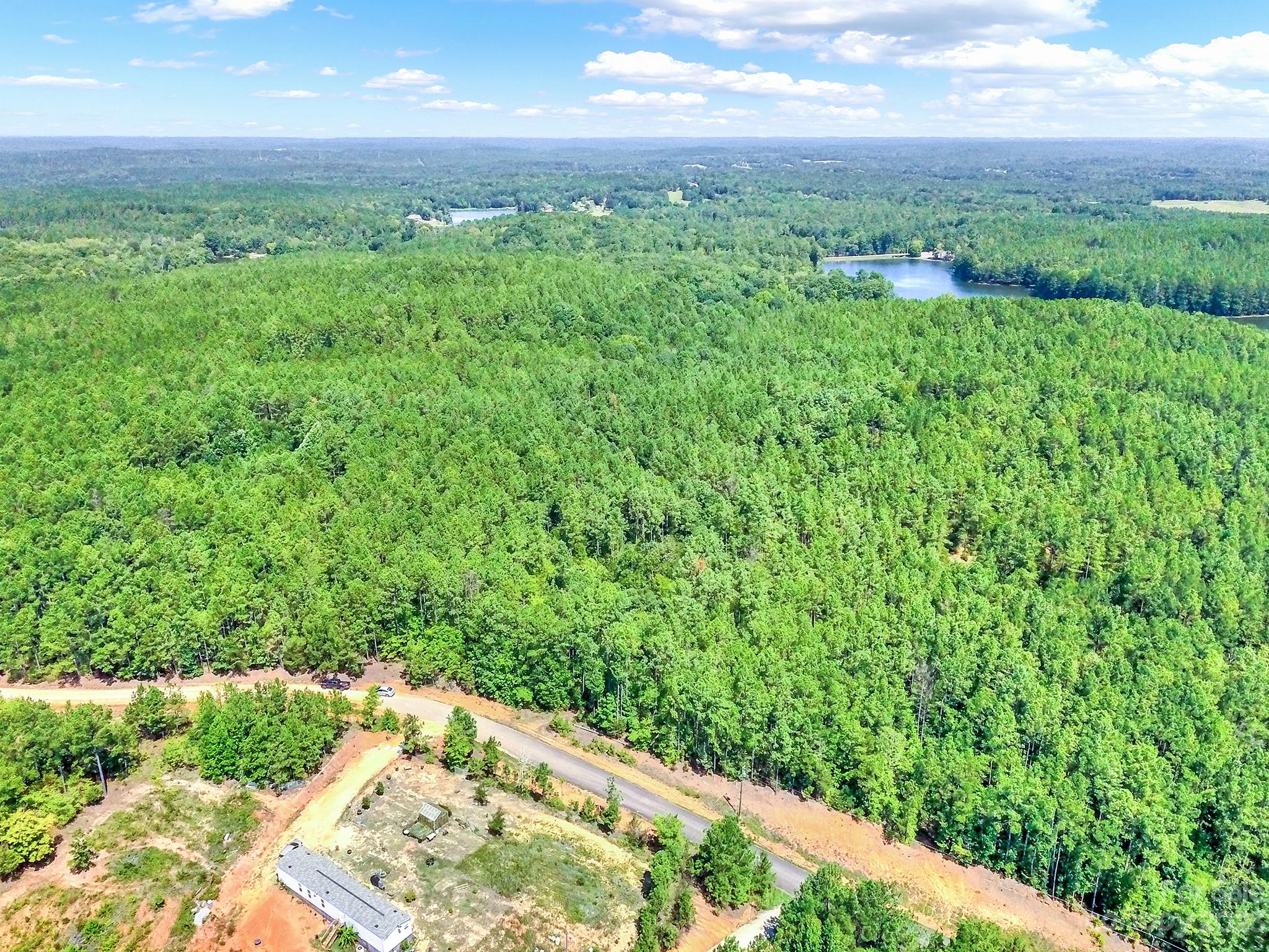Lot #7 Goings Road Chester, SC 29706 - Photo 7 of 14 a view of a yard with an outdoor space