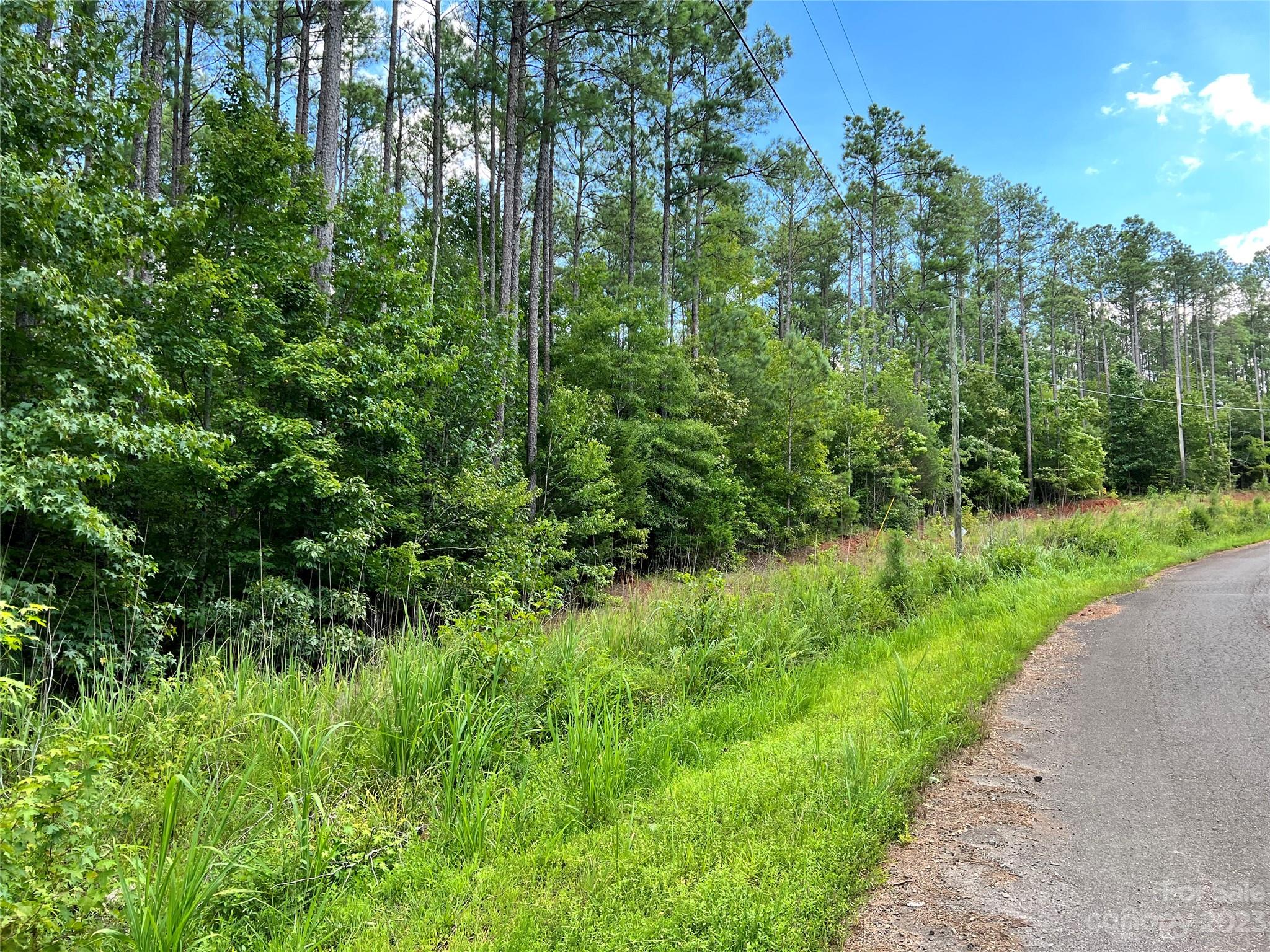 Lot #7 Goings Road Chester, SC 29706 - Photo 8 of 14 a view of a garden with a tree