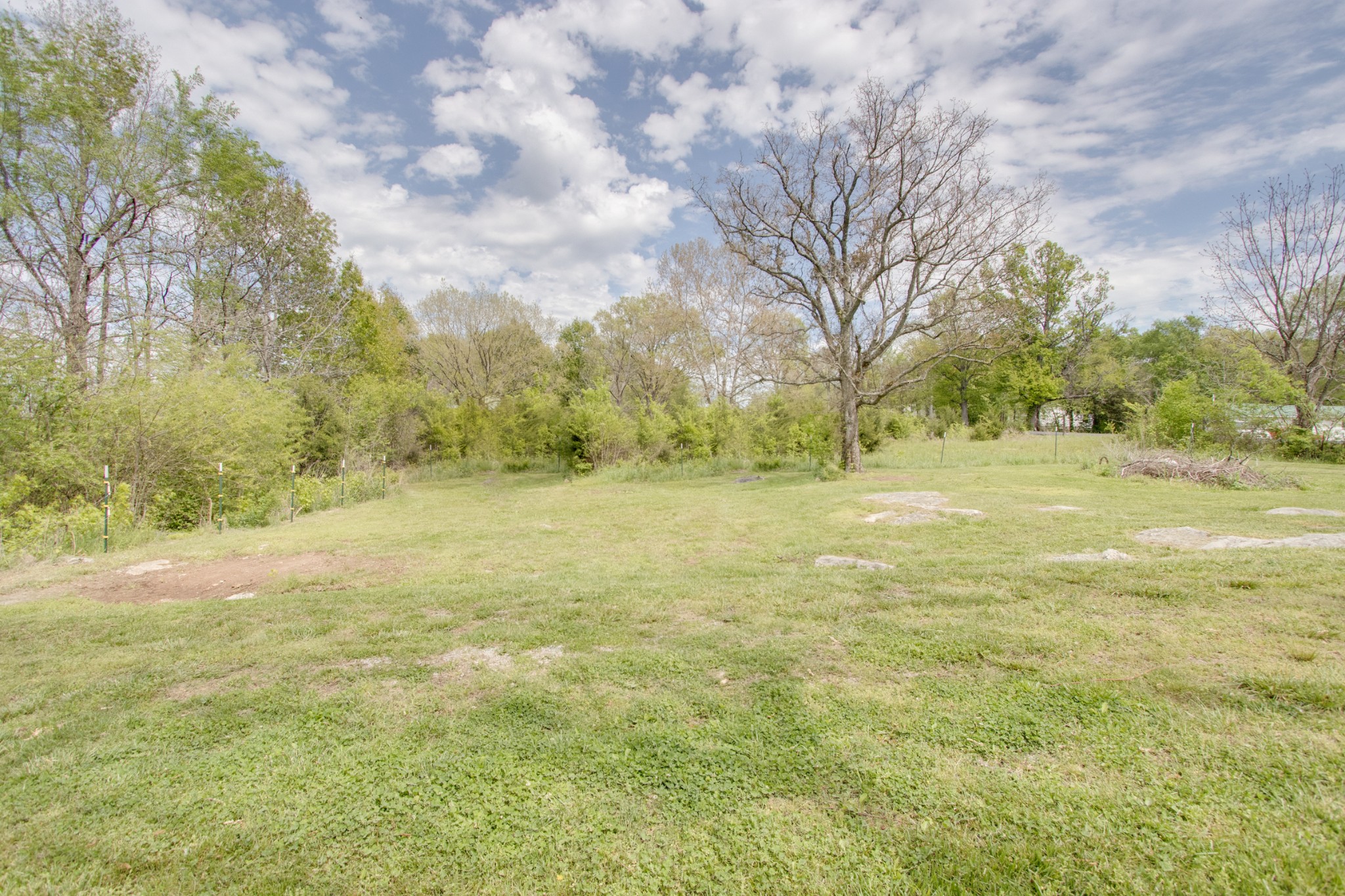 445 Tracy Road Watertown, TN 37184 - Photo 48 of 49 a view of a yard with a tree