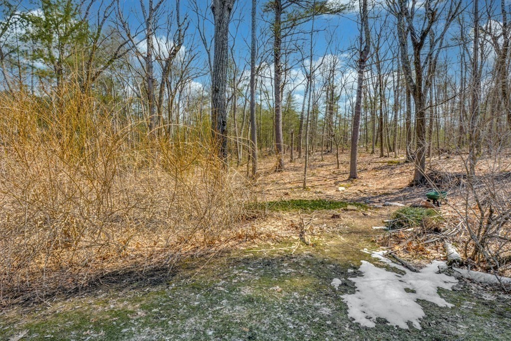 246 Heald Road Carlisle, MA 01741 - Photo 19 of 25 a view of outdoor space with trees