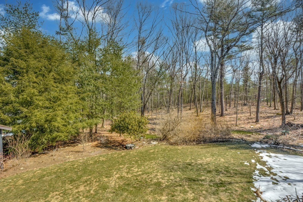246 Heald Road Carlisle, MA 01741 - Photo 20 of 25 a backyard of a house with lots of green space