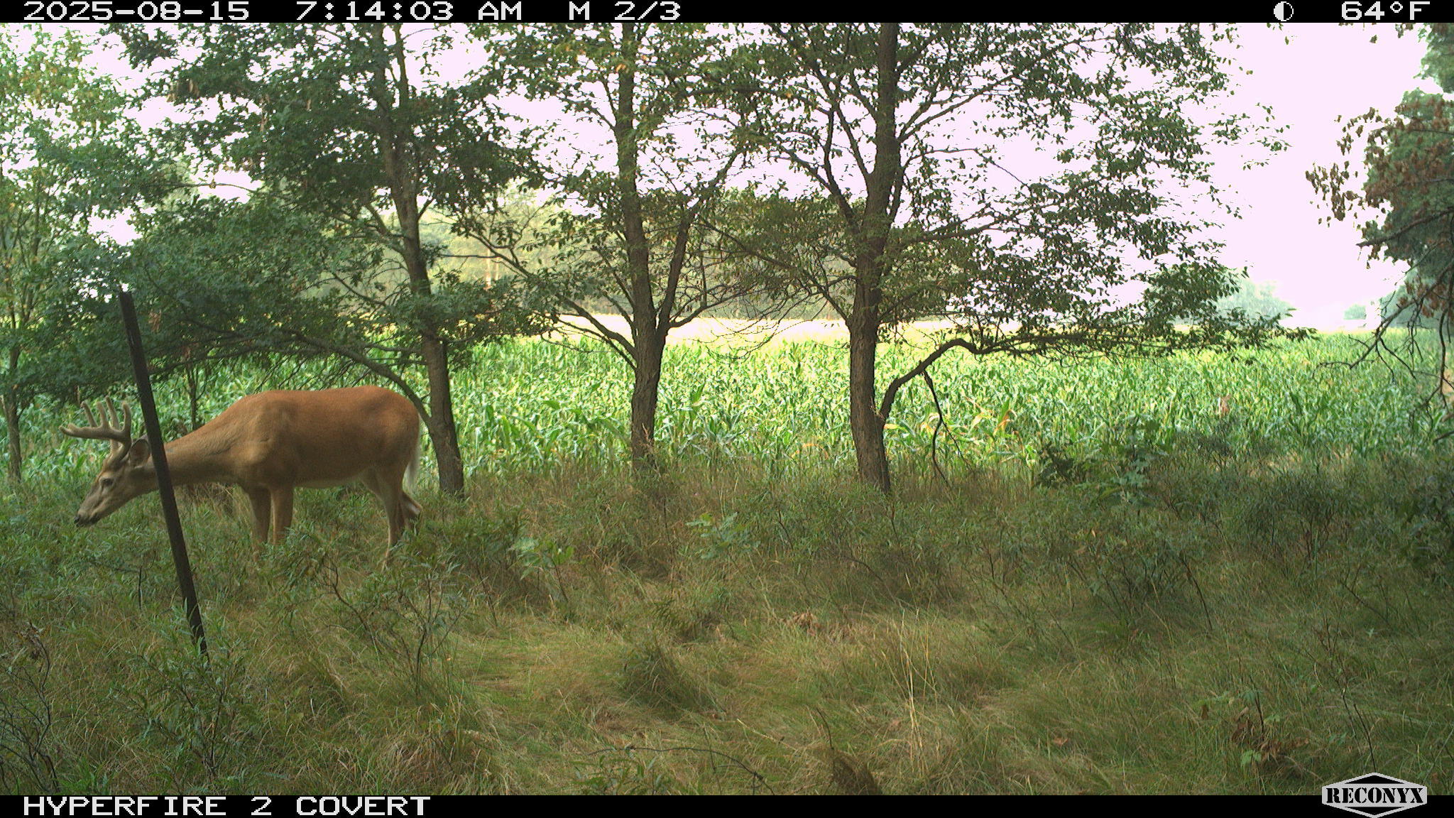 11752 North Brinton Road Lake, MI 48632 - Photo 26 of 74 RCNX0786