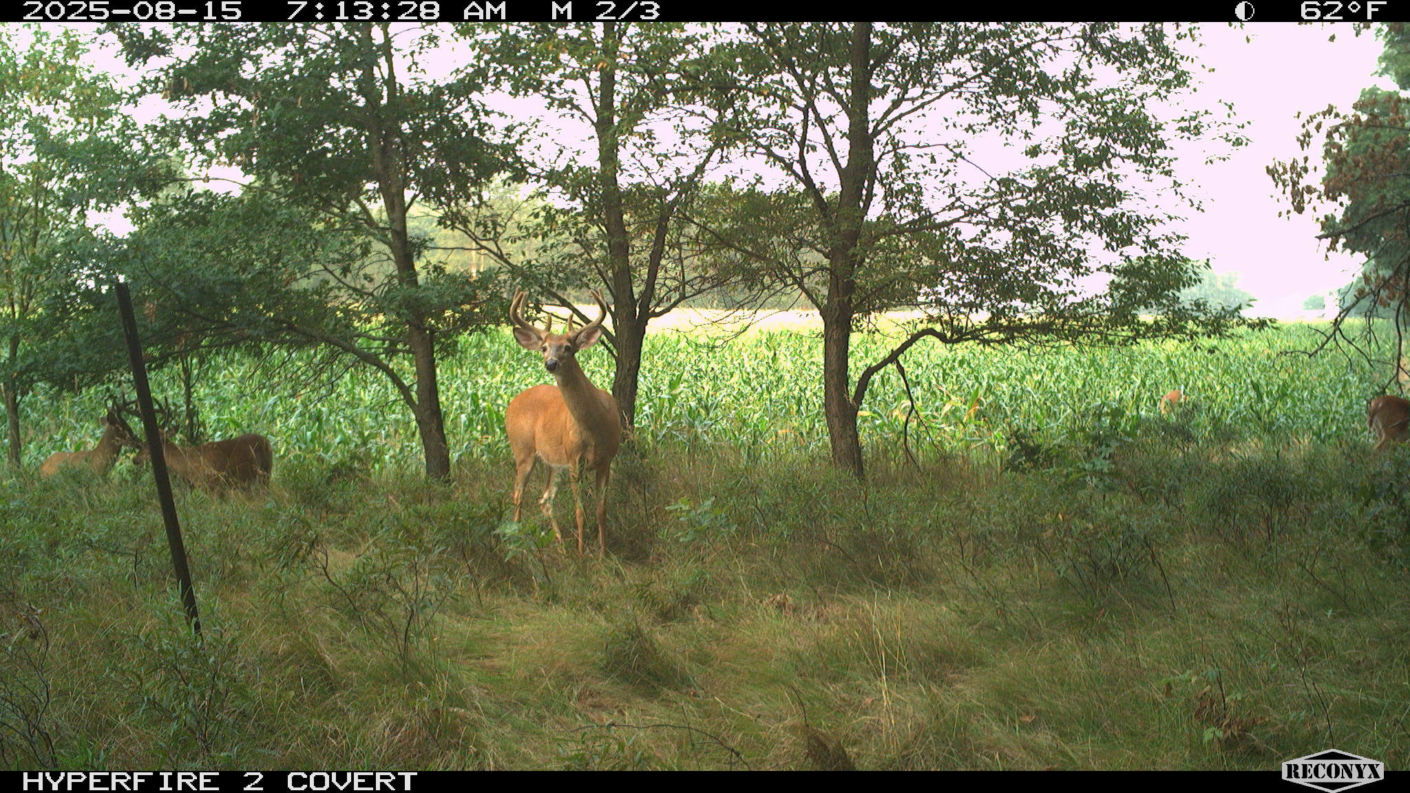 11752 North Brinton Road Lake, MI 48632 - Photo 27 of 74 RCNX0782